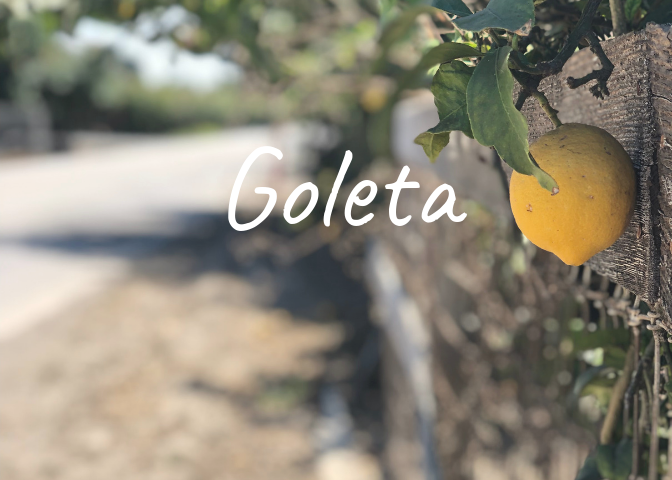 Learn more about the history of the Goleta neighborhood in Santa Barbara County, homes for sale, recent sales, market updates, and off market listings.