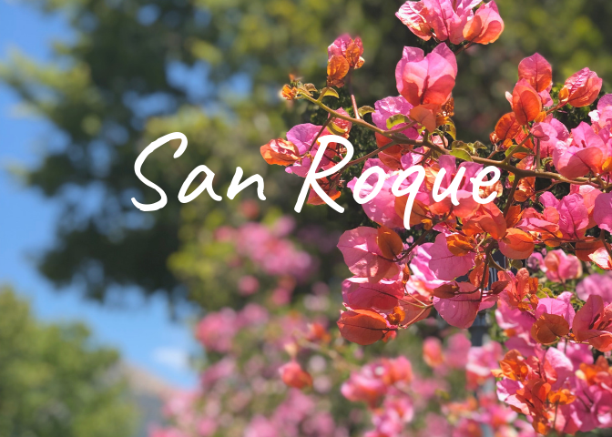 Learn more about the history of the San Roque neighborhood in Santa Barbara, homes for sale, recent sales, market updates, and off market listings.