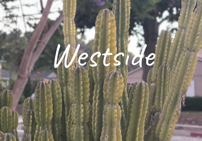 Learn more about the history of the Westside neighborhood in Santa Barbara, homes for sale, recent sales, market updates, and off market listings.